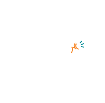 The Hustle Collective